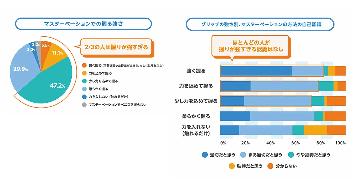 テンガ性生活白書